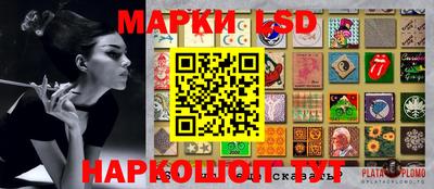 соль ск Камышлов