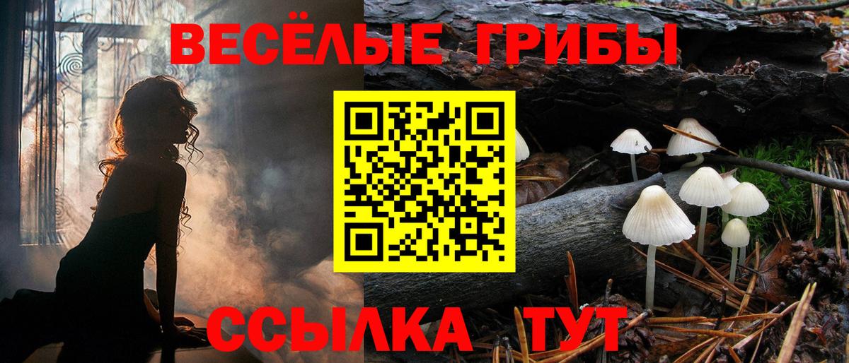 Геленджик  Галлюциногенные грибы мицелий  где можно купить   Вход с VPN 